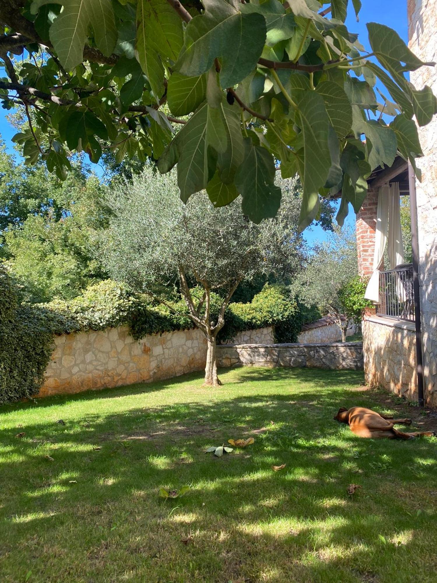 Villa Isabella - Ruheoase Poreč Eksteriør billede